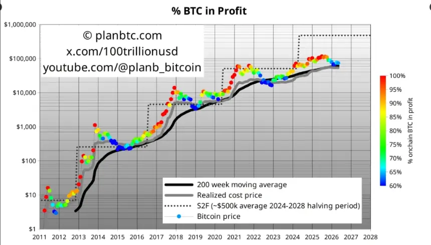 Chart showing Bitcoin supply in profit