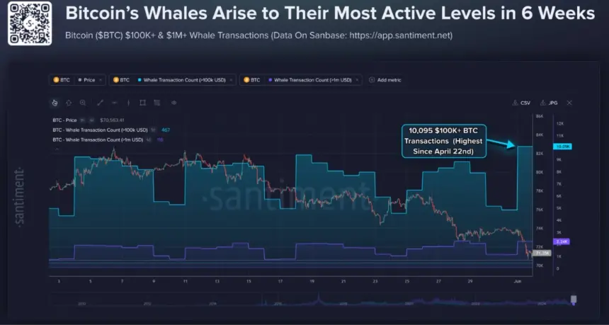 BTC $100K+ Transactions Chart