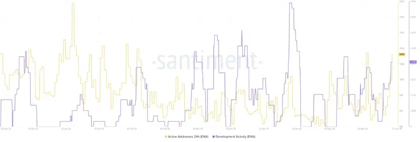 ENA network data