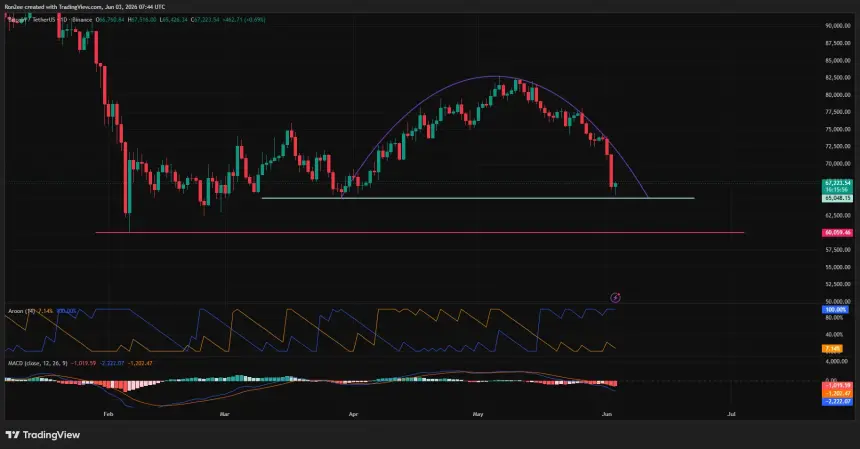 Bitcoin price has formed a bearish rounding top pattern on the daily chart.