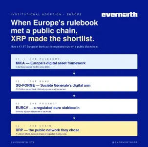 Evernorth 报告称,银行采用推动 XRP 账本活动激增,预测机构将进一步增长
