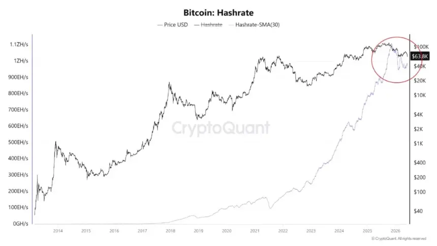 Bitcoin Hashrate | Source: CryptoQuant