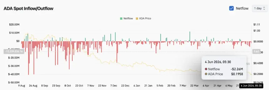 ADA Spot Netflow