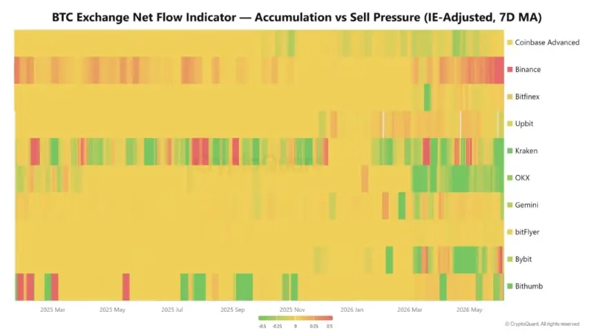 Bitcoin Net Flow Chart on Binance