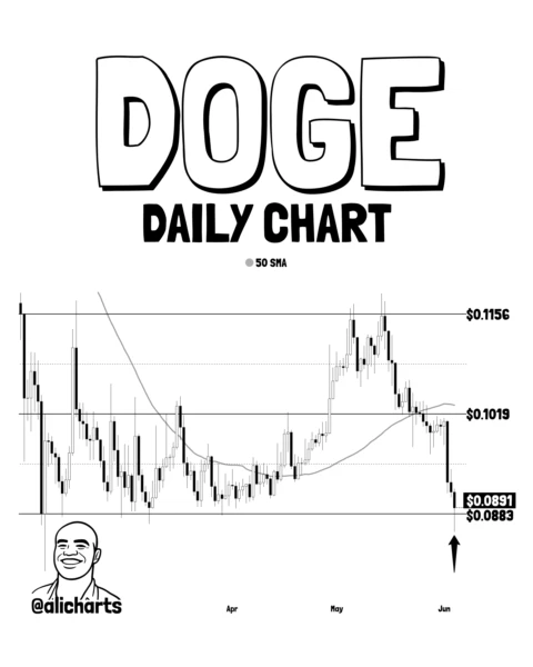 Dogecoin Parallel Channel chart showing price within two parallel trendlines