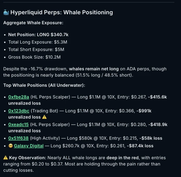 Whale Positioning