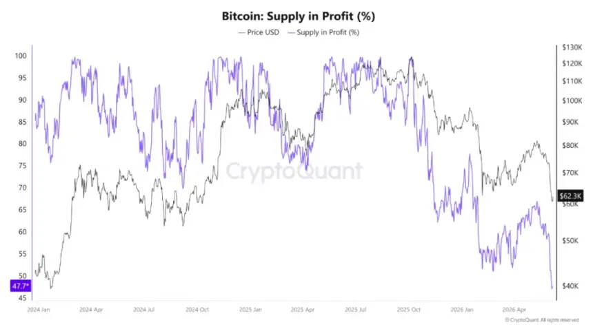 Bitcoin supply in profit