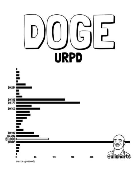 doge price