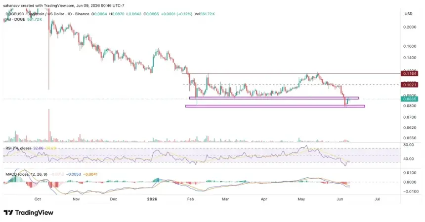 doge price