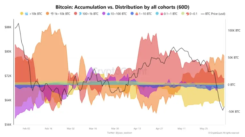 Chart showing Bitcoin accumulation versus distribution over a 60-day period