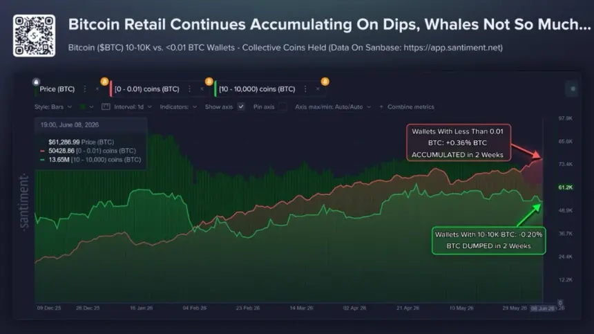 Santiment On-Chain Data Chart