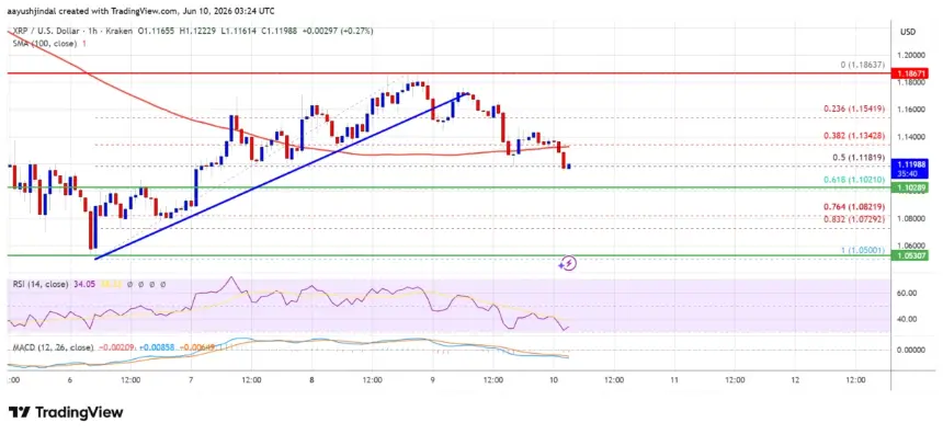 XRP/USD Hourly Price Chart