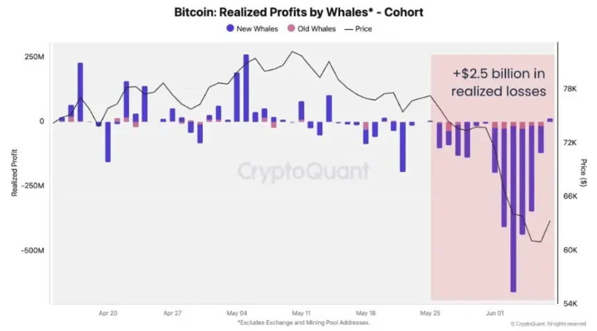 Chart showing Bitcoin price drop and whale wallet losses