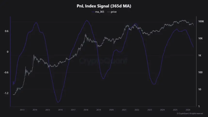 Bitcoin PnL Index