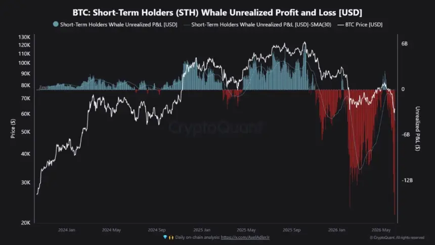 Bitcoin STH Whale Profit