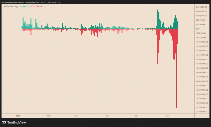 BEAT's daily aggregated liquidation bar chart.