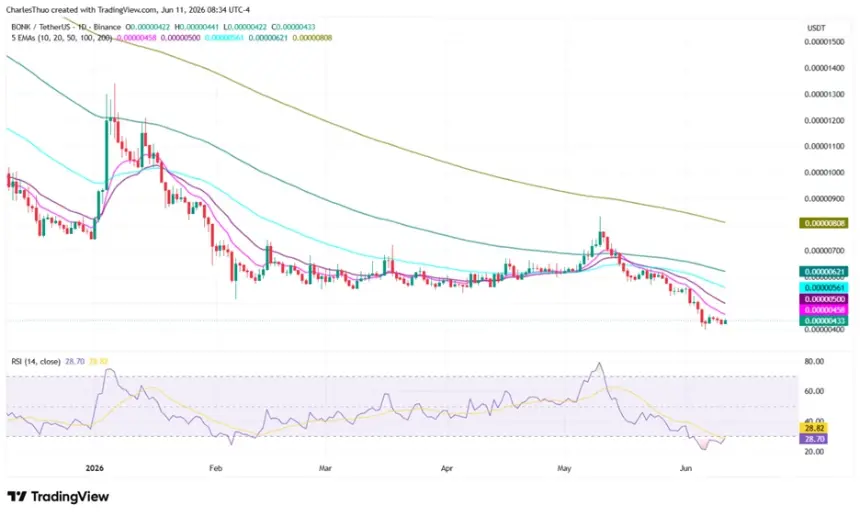 BONK Price Teeters at Critical $0.0000040 Support