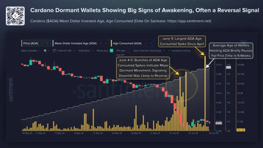 Chart showing Cardano Age Consumed metric spike