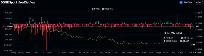 Dogecoin (DOGE) spot netflows, source: Coinglass