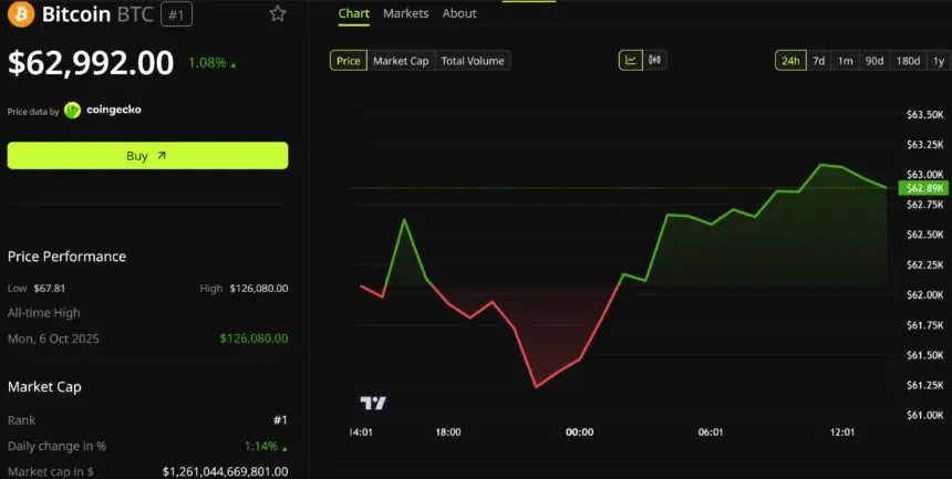 Bitcoin Price Performance