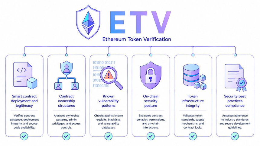 ETV验证流程示意图