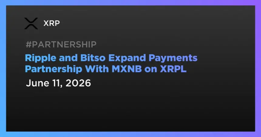 Partnership