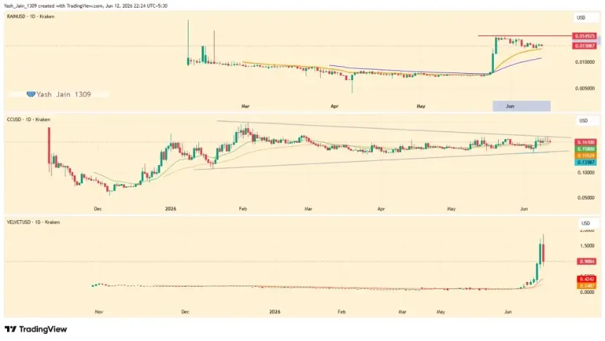 RAIN, Canton, and Velvet Eye New Highs As Traders Watch Weekend Breakouts