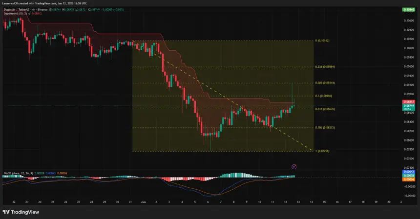 Dogecoin 4-hour price chart.