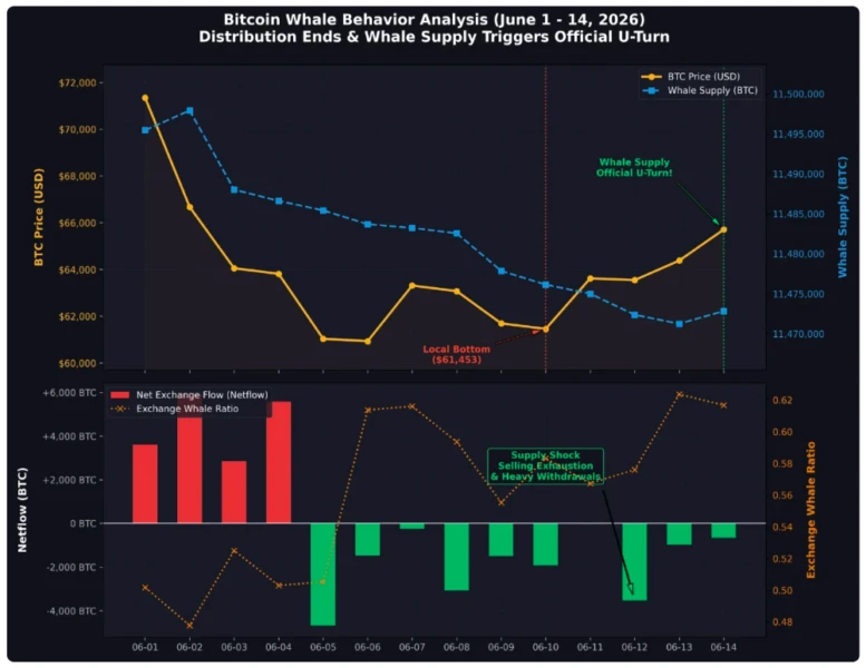 Bitcoin whale data chart from CryptoQuant