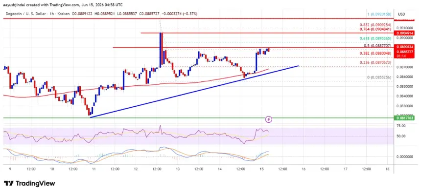 Dogecoin price analysis chart showing bullish trend line