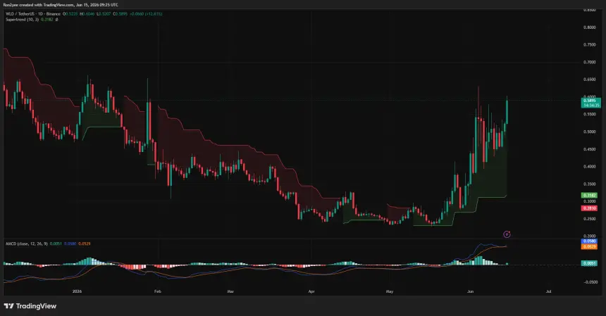 Worldcoin daily price chart.