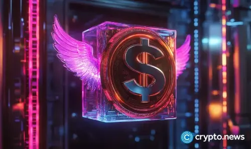  Paradigm 领投稳定币支付平台 El Dorado 900 万美元  