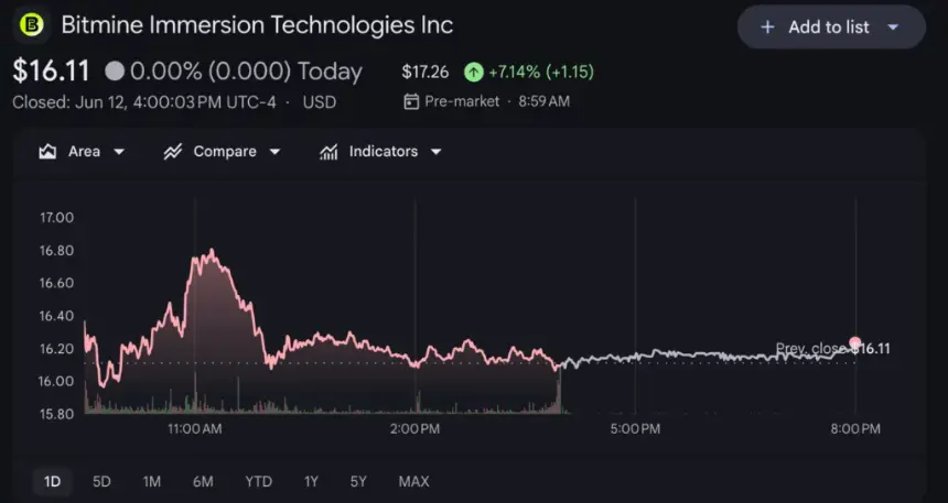 Bitmine (BMNR) price chart, source: Google Finance