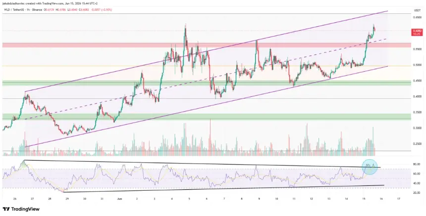 Worldcoin hourly price chart