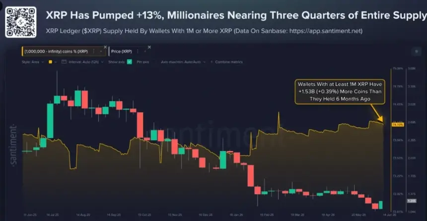XRP whale data