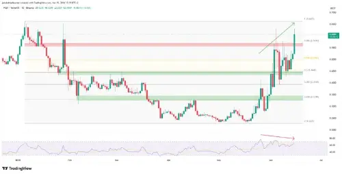 主要机构股权披露后，Worldcoin 飙升 21%   