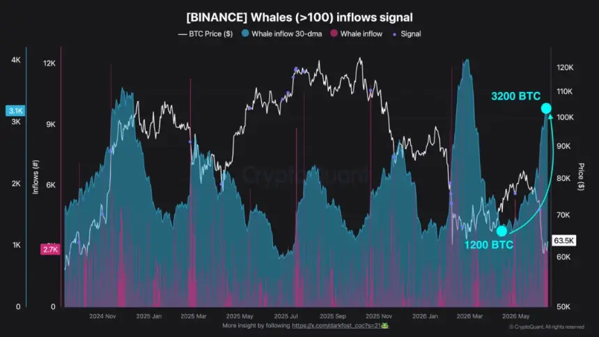Binance inflows by Bitcoin whales