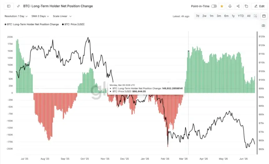 Long-Term Holder Position