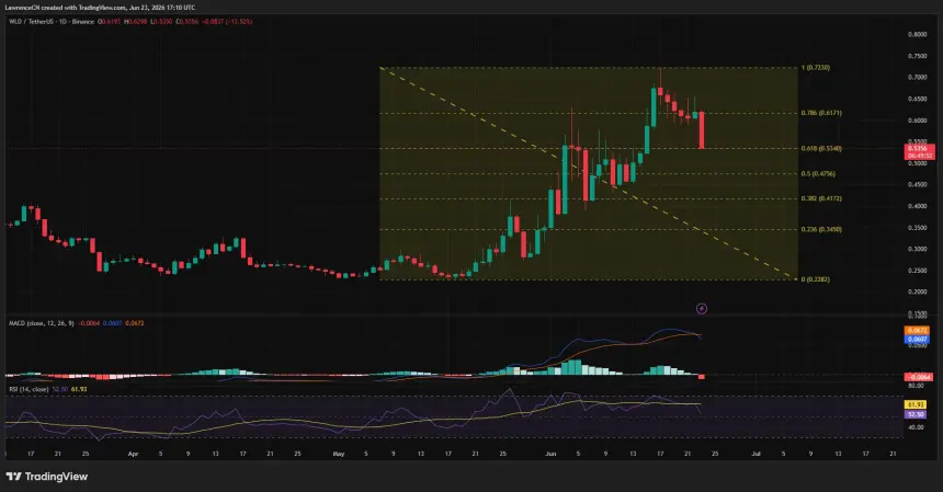 Worldcoin (WLD) daily chart showing a sharp 12% drop to the 61.8% Fibonacci retracement level near $0.53, with bearish MACD crossover and weakening RSI signaling fading momentum after June's rally.