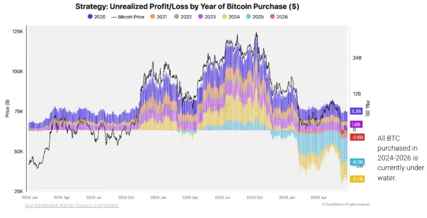 MicroStrategy Unrealized Profit/Loss.