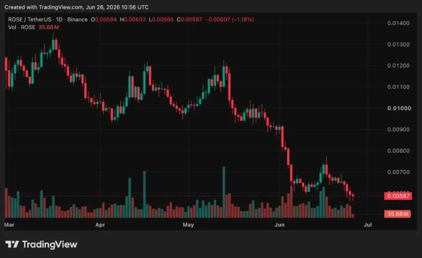 Oasis Network (ROSE) price chart, source: crypto.news