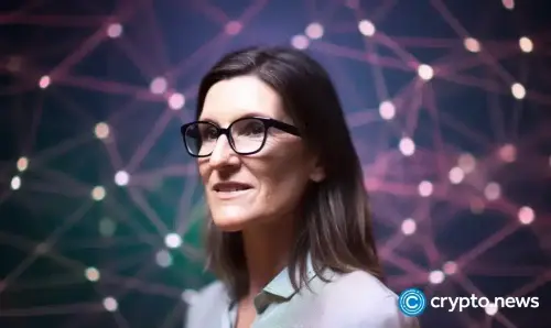  Cathie Wood 买入价值 2550 万美元的 Coinbase、SpaceX 和 Circle 股票  