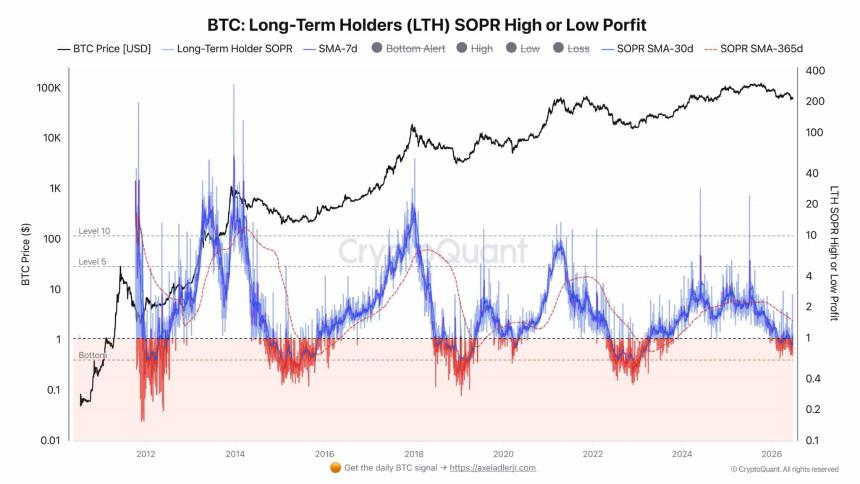  Can BTC whales save Bitcoin after $4.06B ETF outflows? 