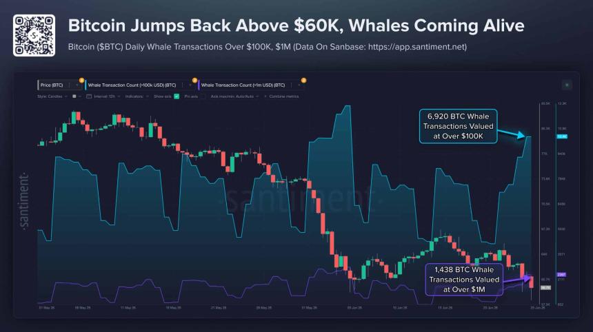  Can BTC whales save Bitcoin after $4.06B ETF outflows? 