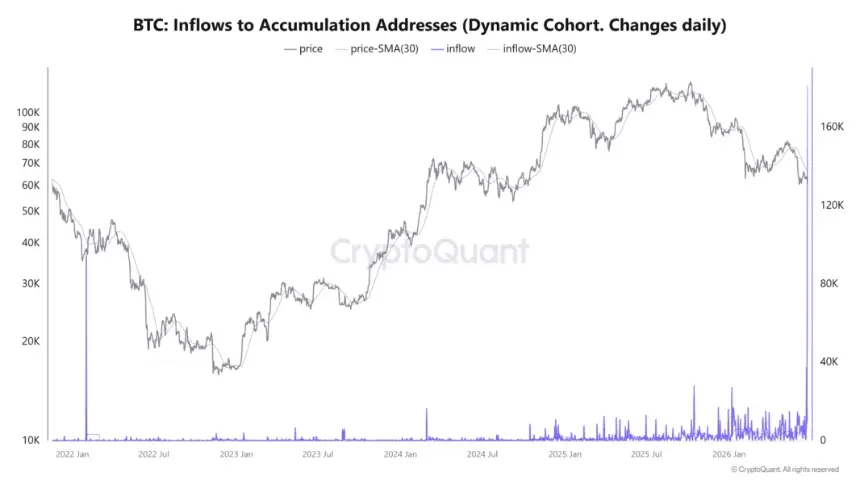 Bitcoin Faces Capitulation Pressure as 50K BTC Moves to Exchanges at a Loss Amid Macro Headwinds