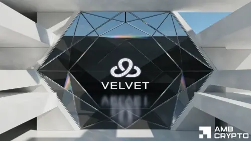 84%修正后上涨385% – 如何解读<span class='keyword'>VELVET</span>的价格走势?