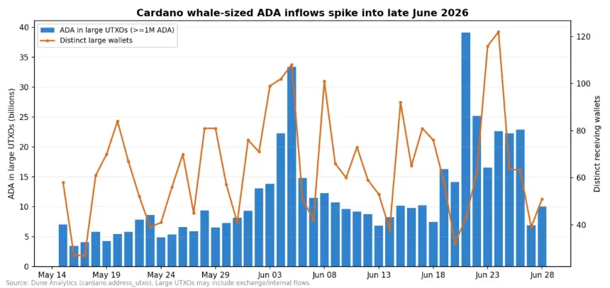 Daily Whale-Sized ADA inflows