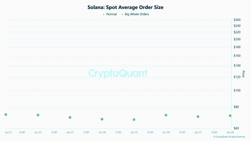 Solana spot average order size