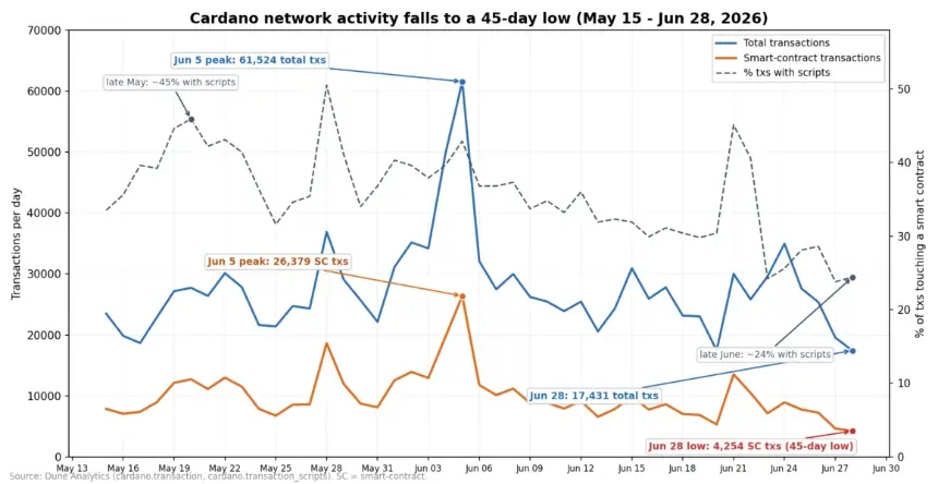  Cardano Network Activity