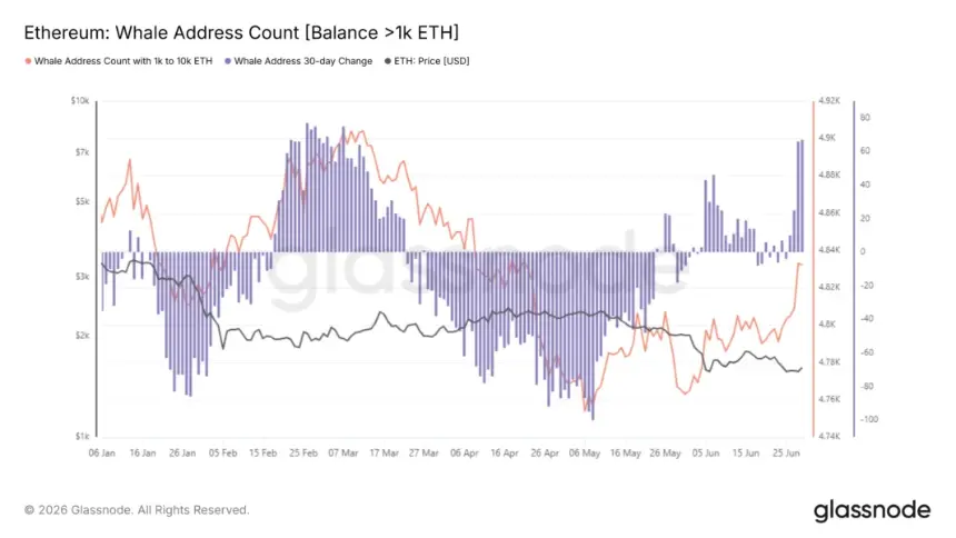 ETH Whale Address Count 